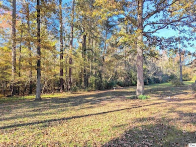 174 Sonni Ln, Grayson, LA 71435 - photo 2