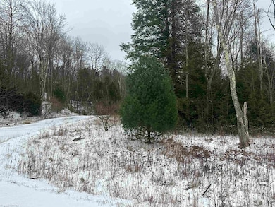 Lot 85 Gondola Ct, Davis, WV 26260 - photo 2