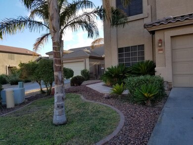 front yard