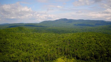 0 Turkey Hill Rd unit 4808331, Newport, NH 03773 - photo 4