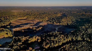 0 Mississippi 440, West, MS 39192 - photo 3