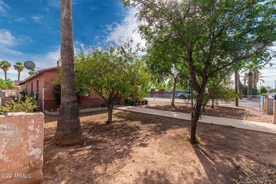 Mature Shade Trees