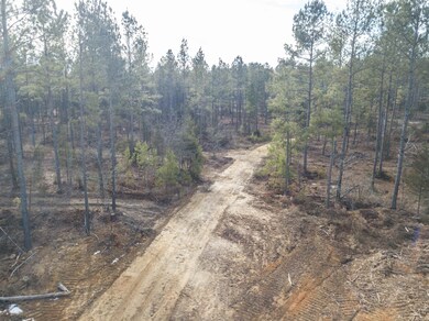 0 Nc Highway 902 unit 2442215, Pittsboro, NC 27312 - photo 3