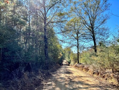 78-83 Rogers Ln, Tylertown, MS 39667 - photo 6