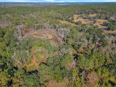 XX Gardners Farm Rd, Tallahassee, FL 32312 - photo 4