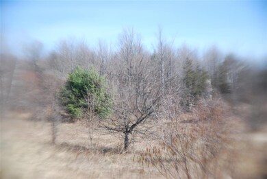 00 Conger Rd, Georgia, VT 05478 - photo 7