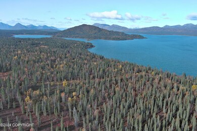 L1&L2 B5 Bear Tracks Rd, Aleknagik, AK 99555 - photo 2
