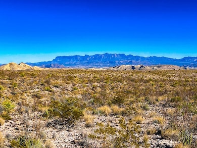 34952 Mariposa Dr, Terlingua, TX 79852 - photo 7