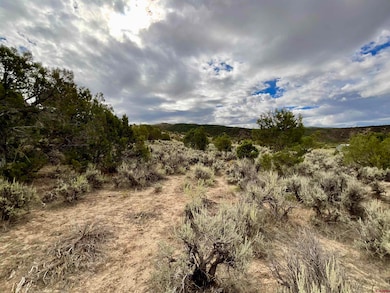 TBD Lot 22 7250 Rd, Montrose, CO 81403 - photo 5