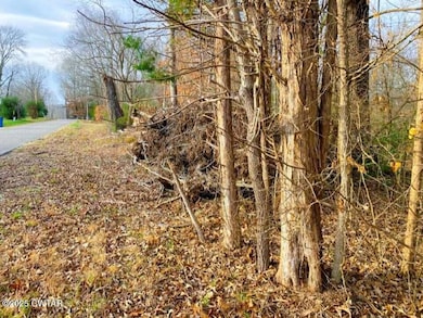 0 Old Lavinia Rd, Cedar Grove, TN 38321 - photo 5