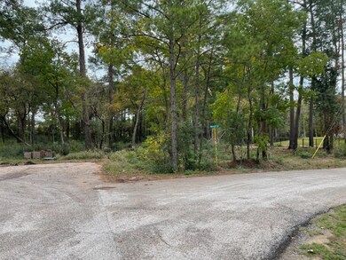 715 Creek Crossing, Magnolia, TX 77355 - photo 4