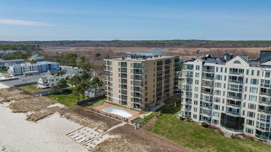 packmaynard_bschofield_205Egrandave1bold