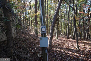 Lot 17 Gaither Rd, Great Cacapon, WV 25422 - photo 6