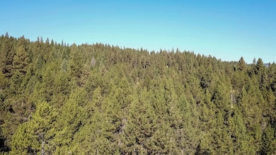 0 Tbd 1-3 Horsethief Rd, Cascade, ID 83611 - photo 3