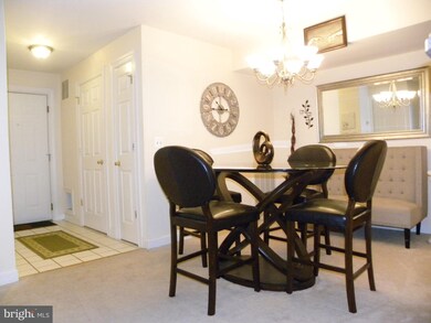 8111 Lacy Dr unit 202, Manassas, VA 20109 - photo 2