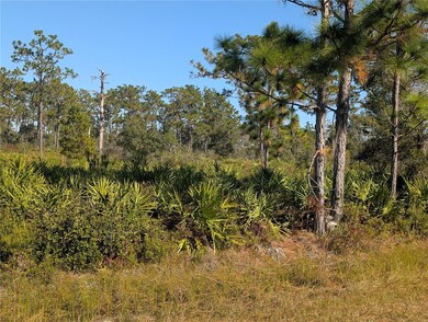 0 El Dorado Dr unit MFRTB8449822, Indian Lake Estates, FL 33855 - photo 5