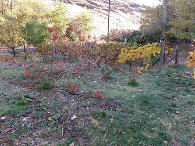 81268 S Fork Walla Riv Rd, Milton-Freewater, Or, OR 97862 - photo 5