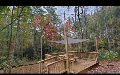 Additional View