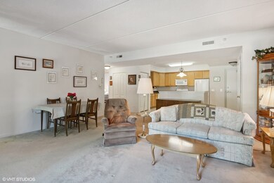 111 N Larch Ave unit 208, Elmhurst, IL 60126 - photo 6