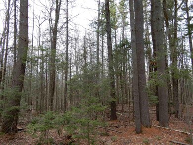 840 Kinsman Rd, Grafton, NH 03240 - photo 7