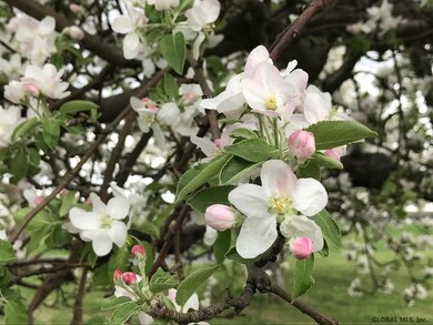 1339 Brookview Station Rd, Castleton On Hudson, NY 12033 - photo 4