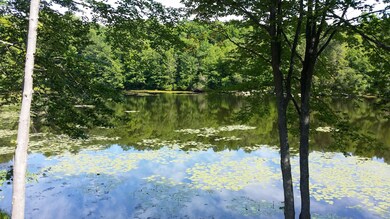 462 Forest St, Honesdale, PA 18431 - photo 4