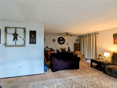 12014 Sprucevale Rd, East Liverpool, OH 43920 - photo 4