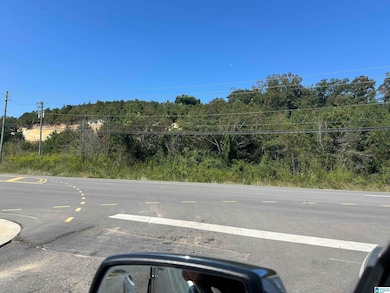 6690 A Gadsden Hwy, Trussville, AL 35173 - photo 3