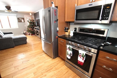 313 N Linden Ave, Fremont, MI 49412 - photo 4