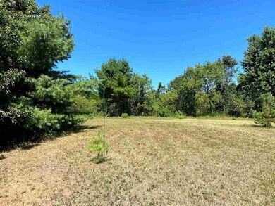 Lot 1 and 2 N Front St, Coloma, WI 54930 - photo 3