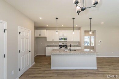 3336 Vine Clad Hill Dr, Arnold, MO 63010 - photo 5