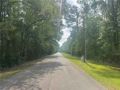 0 Manchester Place Rd, Townsend, GA 31331 - photo 2