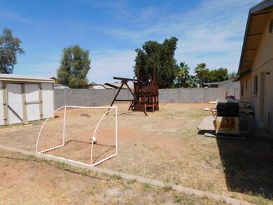 Large Backyard