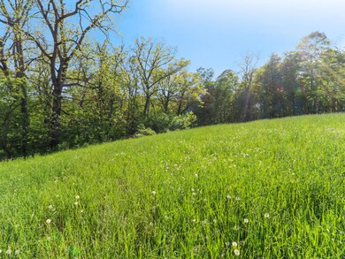 IMG_0492-Edit