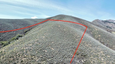 TBD Lees Gulch Rd, Bellevue, ID 83313 - photo 5