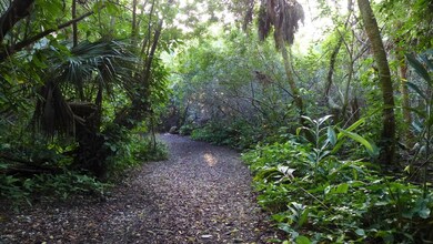 S. Tropical Trail River to River Parcel