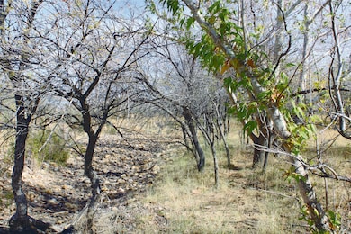 10 Acres E Roadrunner Lot D Ln unit D, Pearce, AZ 85625 - photo 2