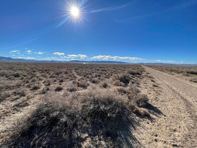 IMG_0067