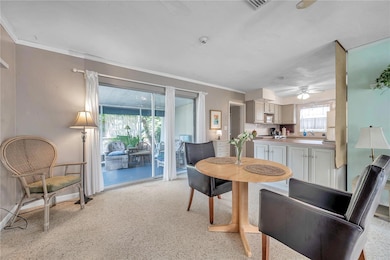 1116 Michigan Blvd, Dunedin, FL 34698 - photo 7