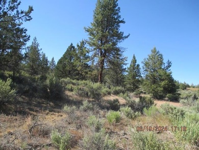 0 Little Fawn Dr unit 10, Chiloquin, OR 97624 - photo 2