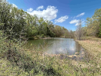 53 Center Point Loop, Vilonia, AR 72173 - photo 4