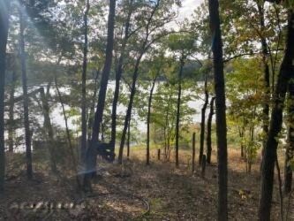 Howe Woods