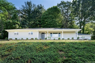 397 New Leicester Hwy, Asheville, NC 28806 - photo 2