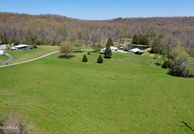 DJI_0225-3
