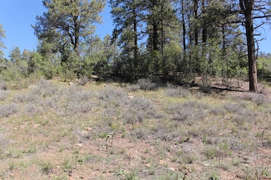 290 Wits End Place, Pagosa Springs, CO 81147 - photo 2