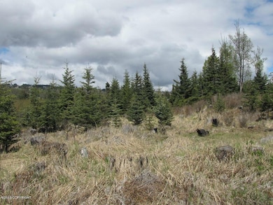 3668 Ben Walters Ln, Homer, AK 99603 - photo 4