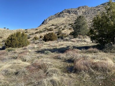 0000 Acorn Dr, Bodfish, CA 93205 - photo 6