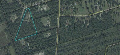 55 Brimner Dr, Crawfordville, FL 32327 - photo 2