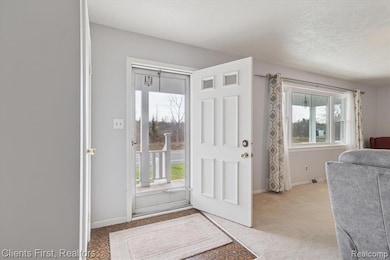 6550 Hitchingham Rd, Ypsilanti, MI 48197 - photo 5