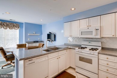 12310 Rosslare Ridge Rd unit 301, Lutherville Timonium, MD 21093 - photo 7